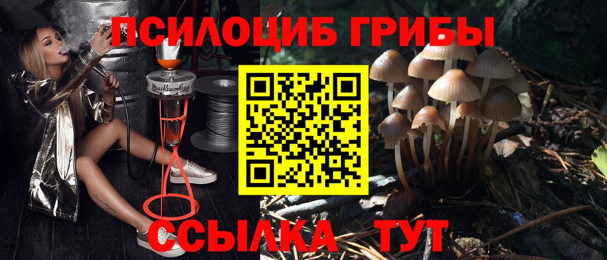 Псилоцибиновые грибы Psilocybe  Вход с VPN  Щёлково  наркотики  Галлюциногенные грибы мицелий 